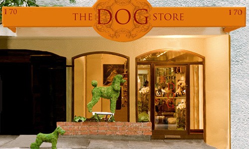 The DOG Store