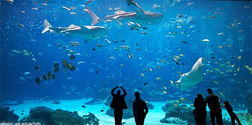 Georgia Aquarium Atlanta