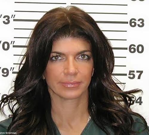 Teresa Giudice Mugshot