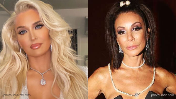 real housewives of beverly hills erika jayne rhobh shakers go go dancer danielle staub rhonj real housewives of new jersey