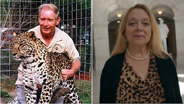 tiger king netflix carole baskin says she did not kill husband and feed him to tiger and lion