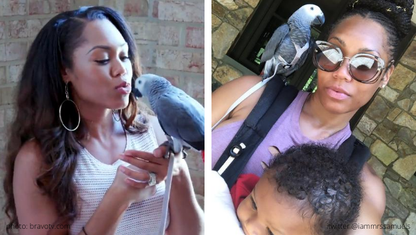 rhop real housewives of potomac monique samuels missing bird t'challa