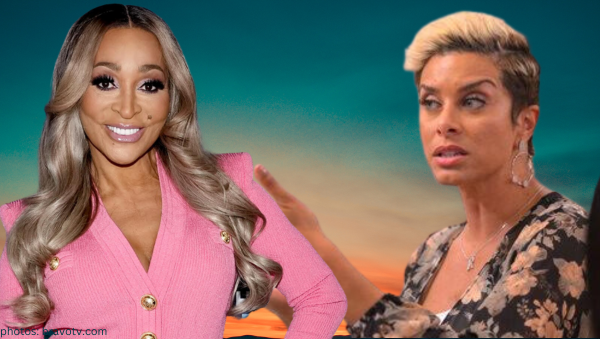 karen huger robyn dixon returning rhop real housewives of potomac