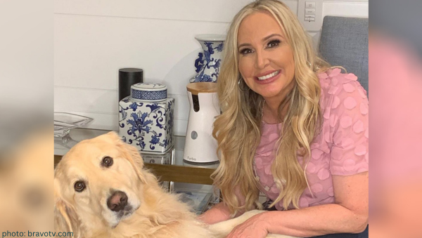 shannon beador dui hit and run rhoc real housewives of orange county archie the dog