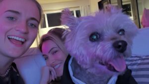 Chrishell Stause Dog Passing Gracie