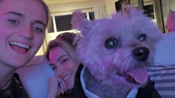 Chrishell Stause Dog Passing Gracie