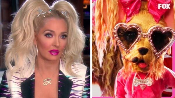 erika masked singer yorkie