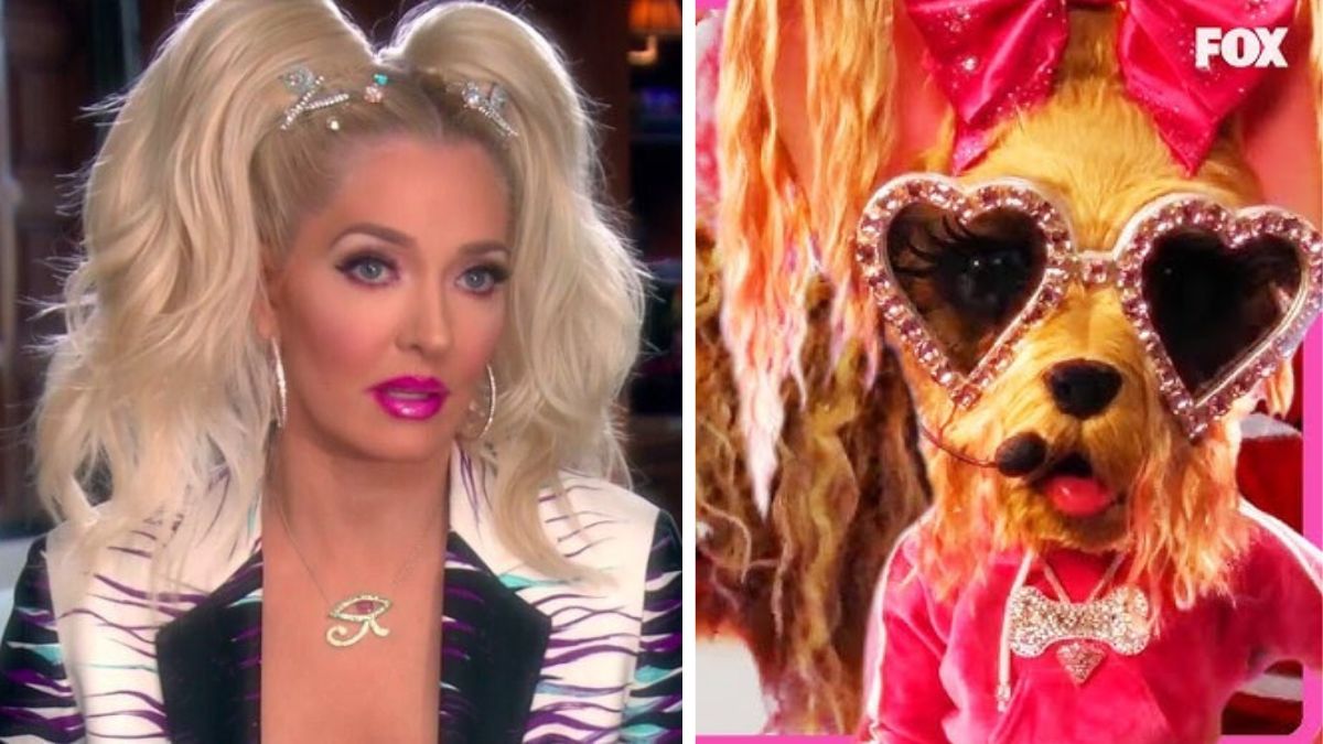 erika masked singer yorkie