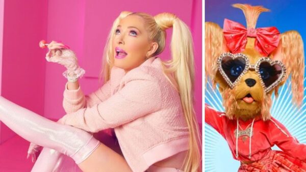 erika jayne yorkie