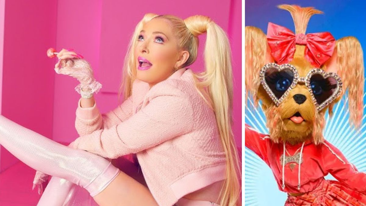 erika jayne yorkie