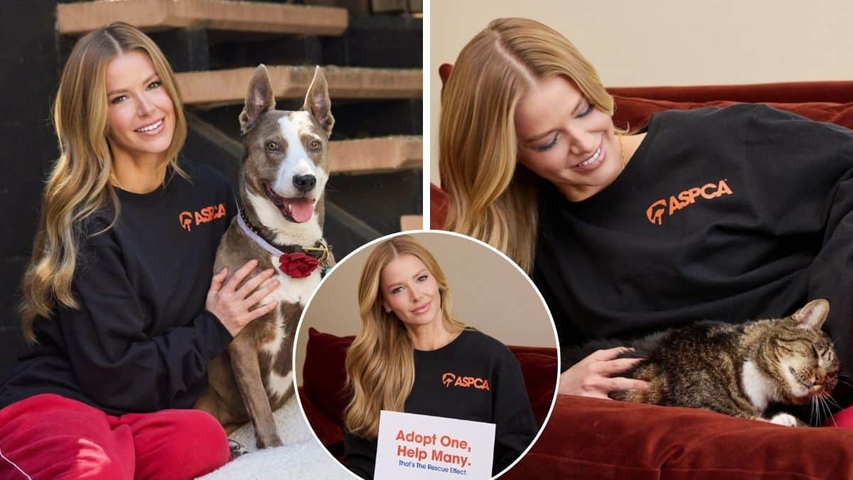 ariana madix aspca