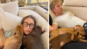 Amanda Kyle dogs custody