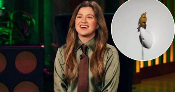 Kelly Clarkson bird